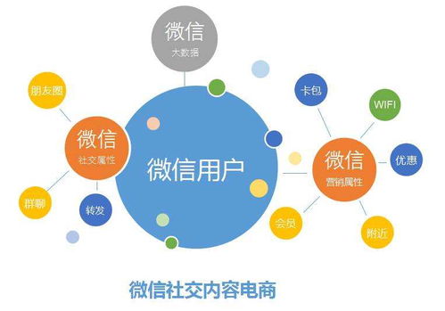 學(xué)校教育管理信息系統(tǒng)開發(fā)
