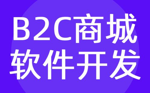 b2c商城軟件開發(fā) b2c購物電商軟件定制公司 紅匣子科技